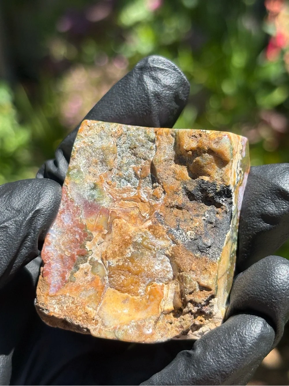 Ocean Jasper Crystal Freeform - Polished Sea Jasper - Orbicular Jasper
